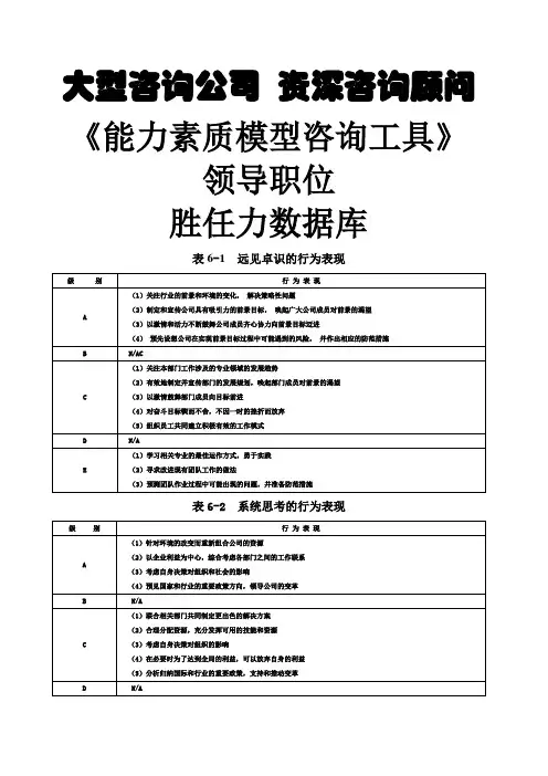 CMC大师著《能力素质模型咨询工具》胜任力数据库