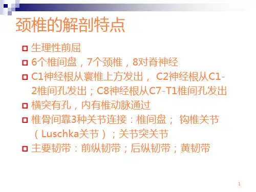 颈椎病的诊断与治疗1ppt课件.ppt