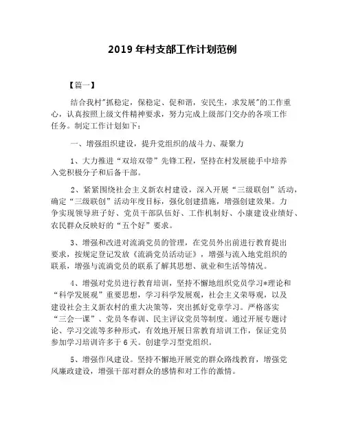2019年村支部工作计划范例