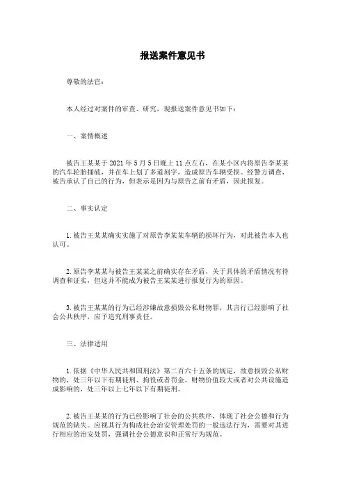 报送案件意见书