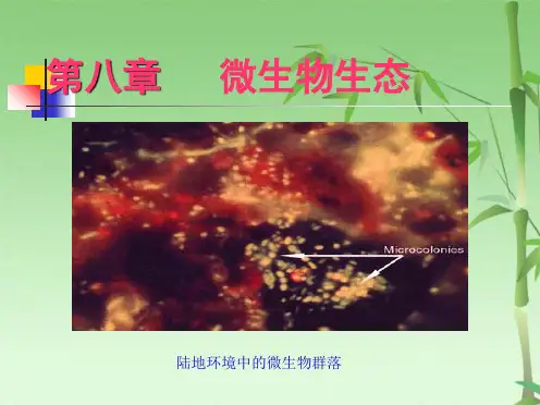 第八章   微生物生态(共97张PPT)