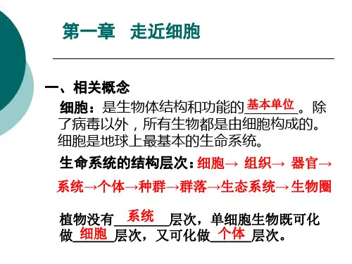高一生物必修一复习.ppt