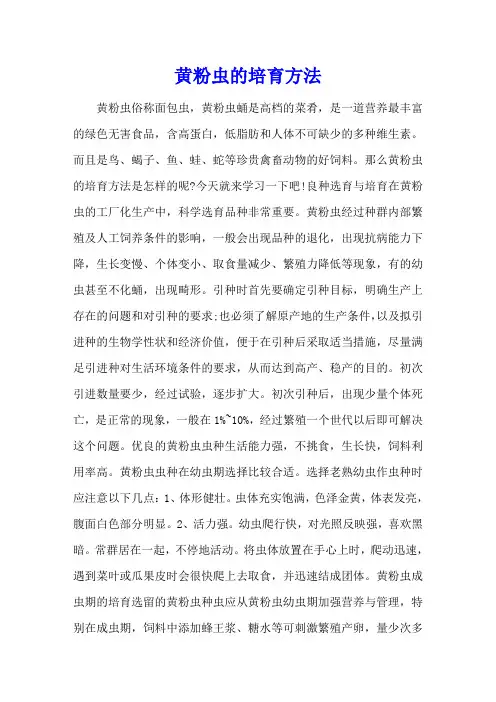 黄粉虫的培育方法
