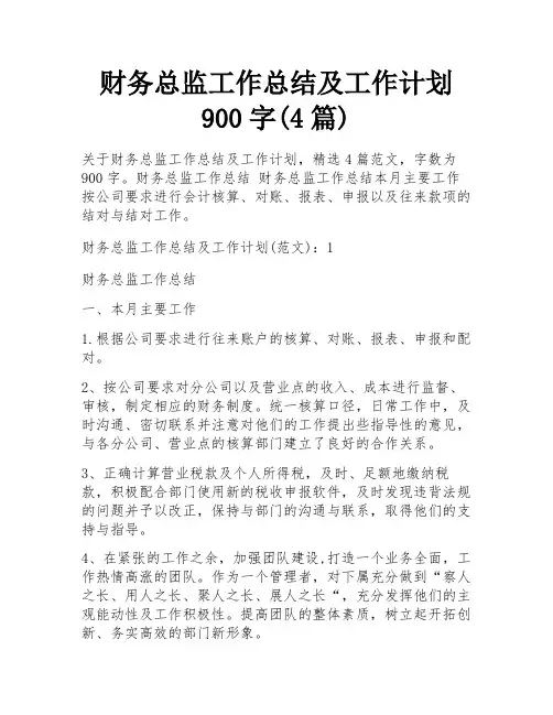财务总监工作总结及工作计划900字(4篇)
