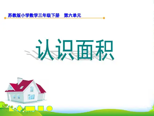 苏教版三年级下册数学课件认识面积 (共15张PPT)
