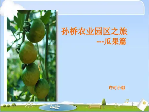 孙桥农业园区之旅 ---瓜果篇
