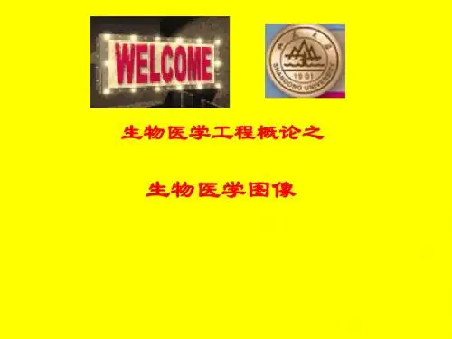 生物医学工程概论之生物医学图像2课件