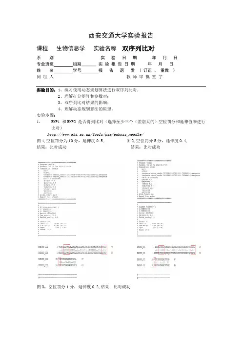 西安交大-生物信息学实验报告2