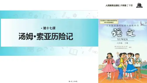 六年级下册语文课件-17 汤姆·索亚历险记   ∣人教新课标 (共18张)