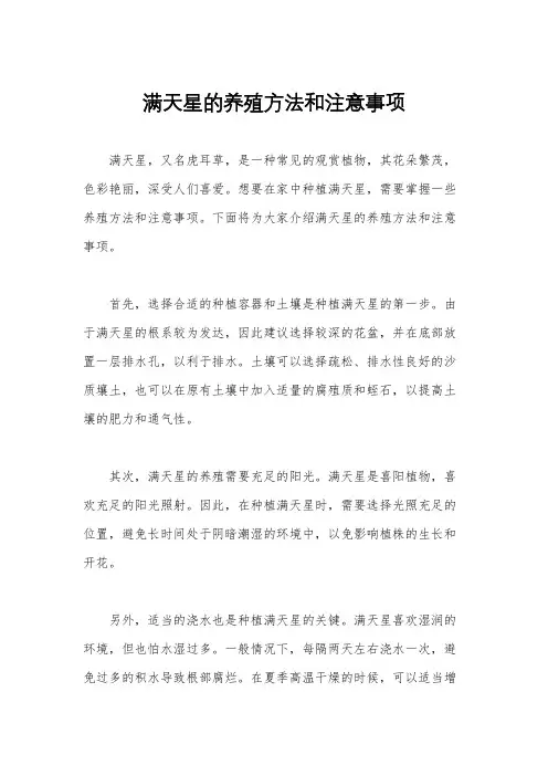 满天星的养殖方法和注意事项