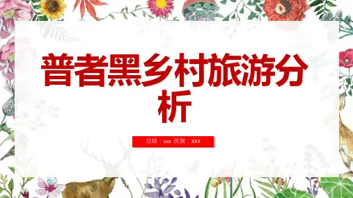 普者黑乡村旅游分析