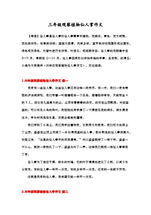 三年级观察植物仙人掌作文