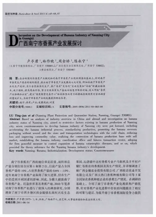 广西南宁市香蕉产业发展探讨