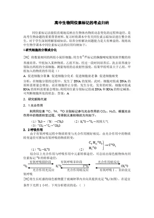 有关同位素标记的考点归纳