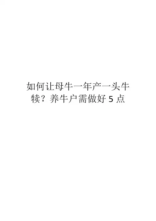 如何让母牛一年产一头牛犊？养牛户需做好5点