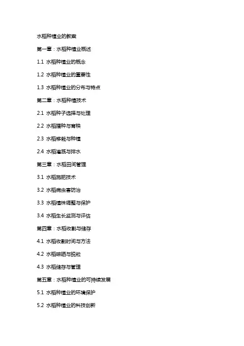 水稻种植业的教案