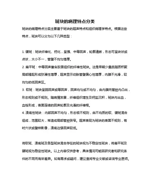 斑块的病理特点分类