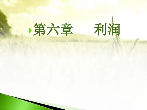 利润 PPT课件