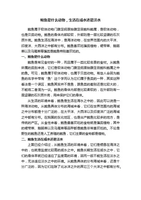 鲍鱼是什么动物，生活在咸水还是淡水