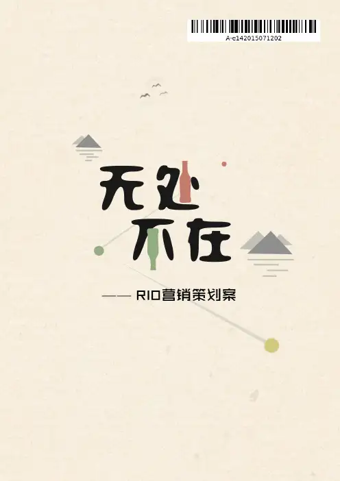 rio大广赛锐澳策划案优秀作品