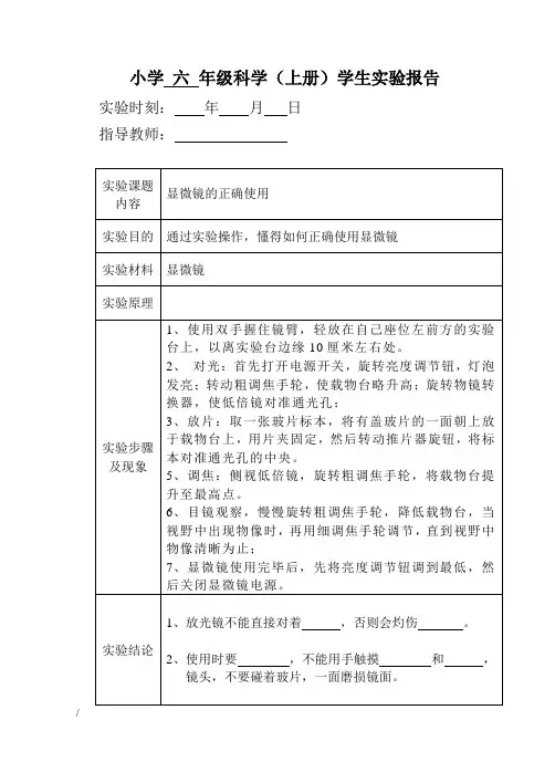 六年上实验报告单
