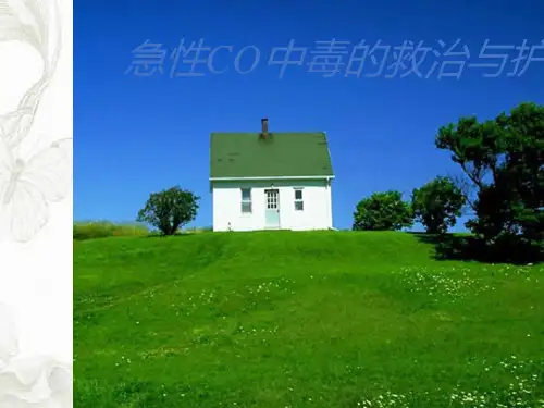急性CO中毒的急救与护理PPT课件