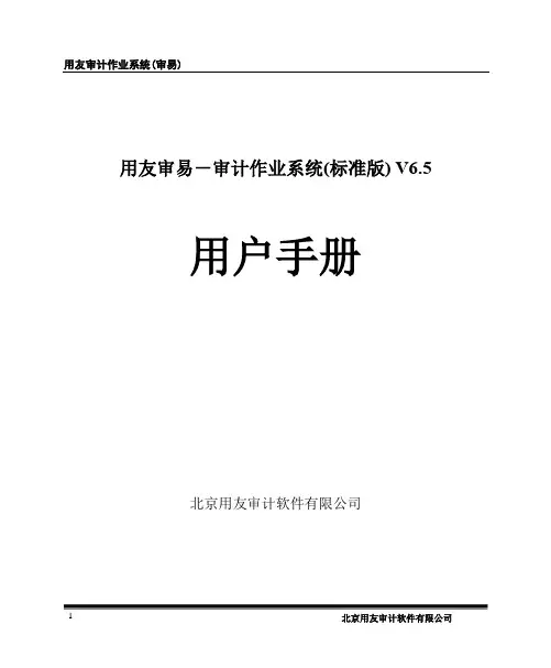 用友审易-审计作业系统(标准版)V6.5