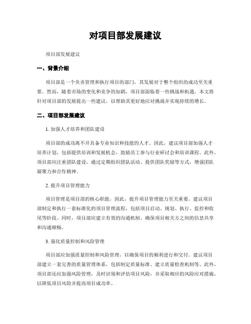 对项目部发展建议