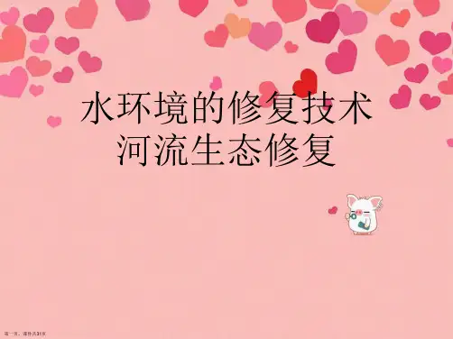 水环境的修复技术河流生态修复