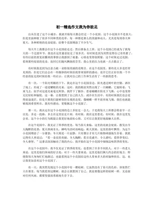 初一精选作文我为你驻足