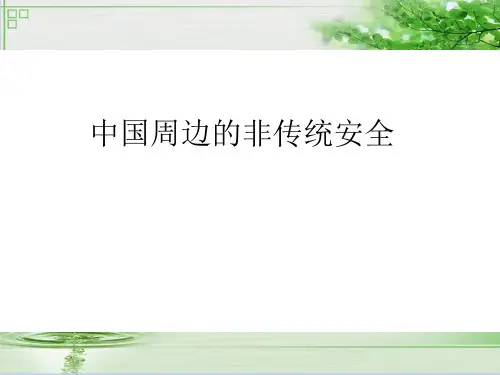 中国非传统安全案例-能源安全