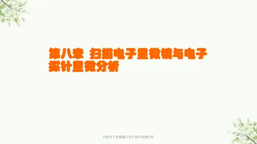 扫描电子显微镜与电子探针显微分析课件