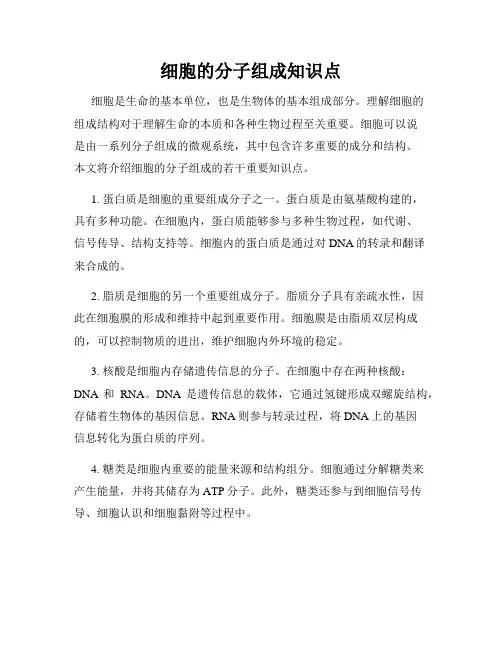 细胞的分子组成知识点