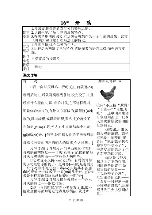 四年级上册语文教案16母鸡