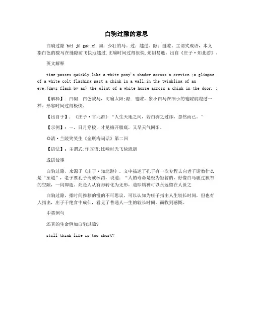 白驹过隙的意思