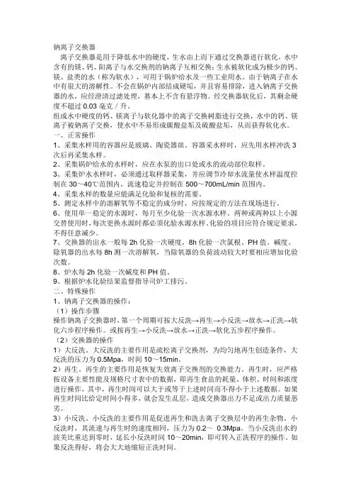 钠离子交换器