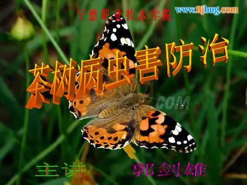 第五章 昆虫发生与环境的关系