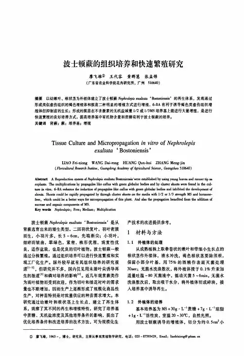 波士顿蕨的组织培养和快速繁殖研究