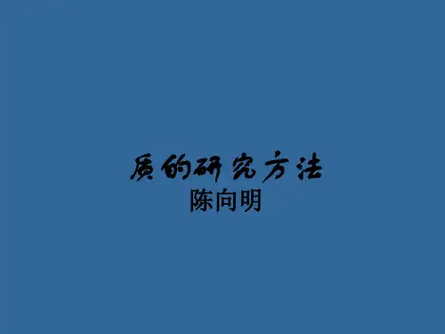 质的研究方法陈向明