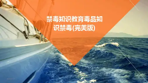 禁毒知识教育毒品知识禁毒(完美版)