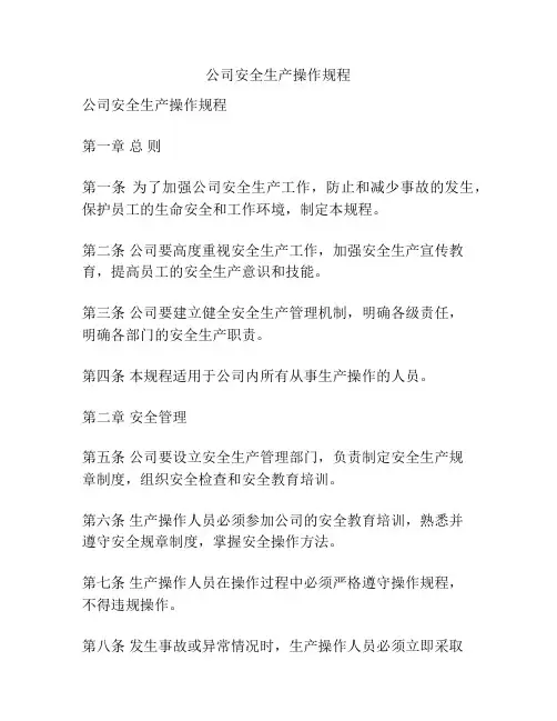 公司安全生产操作规程