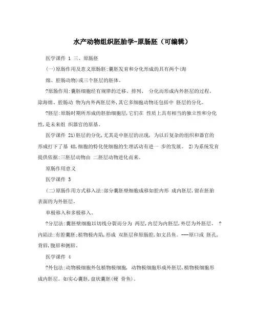 水产动物组织胚胎学-原肠胚(可编辑)