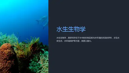 《水生生物学》课件