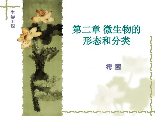 江南大学微生物学课件-mould