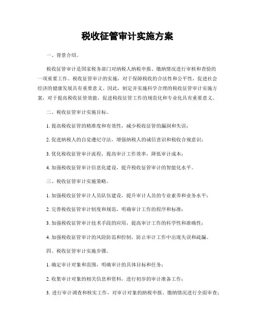 税收征管审计实施方案