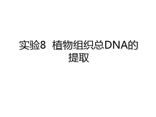 最新实验8  植物组织总DNA的提取资料讲解