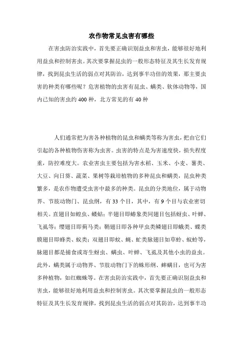 农作物常见虫害有哪些