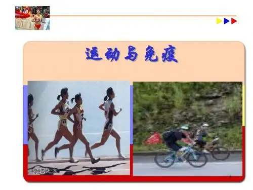 运动与免疫ppt课件