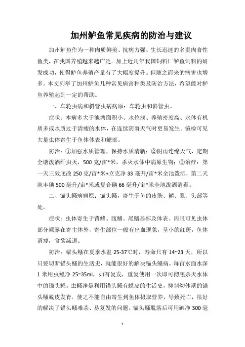 加州鲈鱼常见疾病的防治与建议