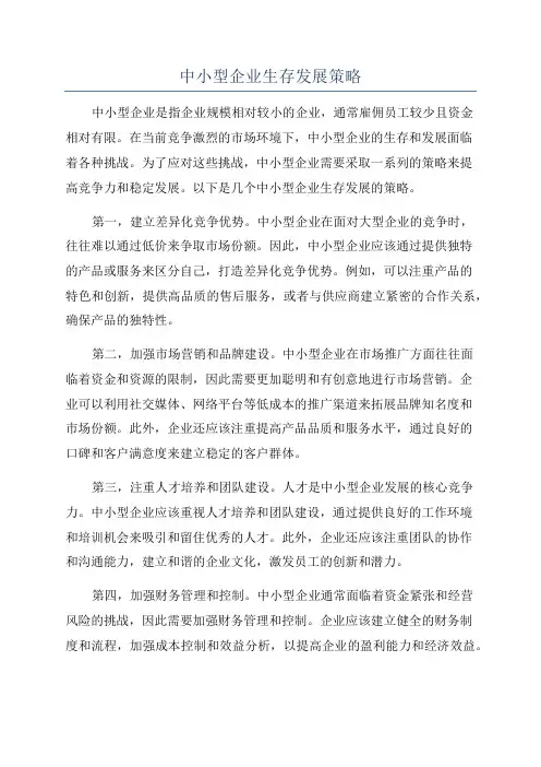 中小型企业生存发展策略